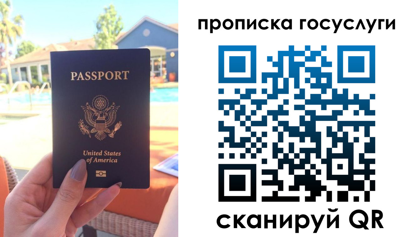 прописка для школы в Звенигово
